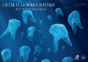 Kit pédagogique : L'Océan et la menace plastique