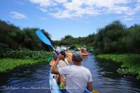 Au fil de l’eau en kayak