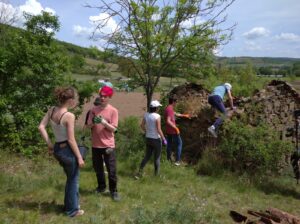 tone de vigne pendant le chantier
