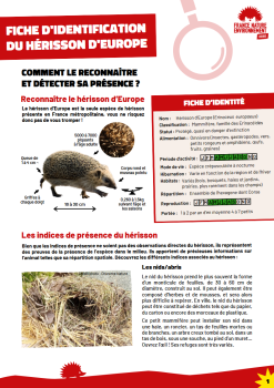 Fiche_identification_hérisson