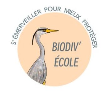 Logo_Biodiv’ecole_Texte_gris Logo_Biodiv'ecole_Texte_gris
