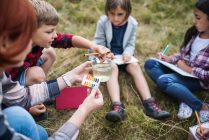 adobestock-288686186-20-1-69c697031464d695627646 adobestock-288686186-20-1-69c697031464d695627646