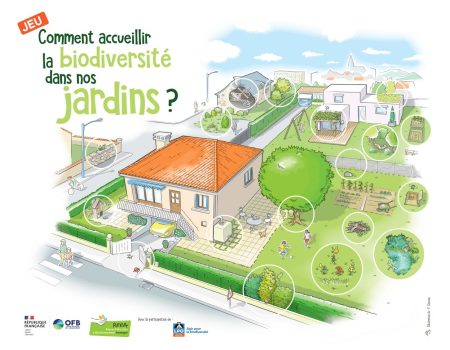 Accueil de la biodivesrité au jardin