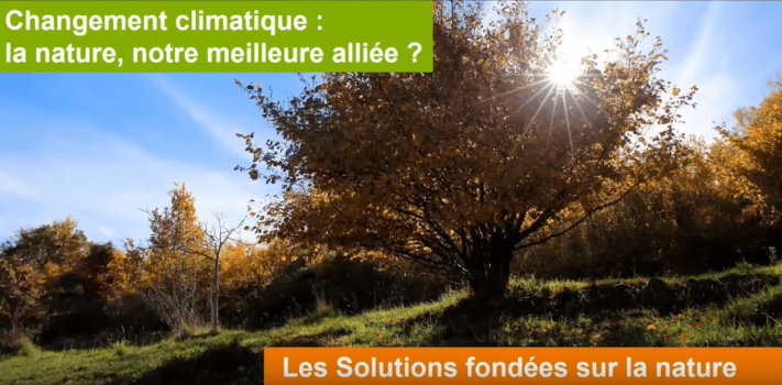 Solutions fondées sur la nature