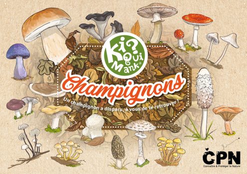 couv Kiquimank Champignons