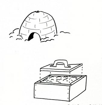 Bâtir un igloo