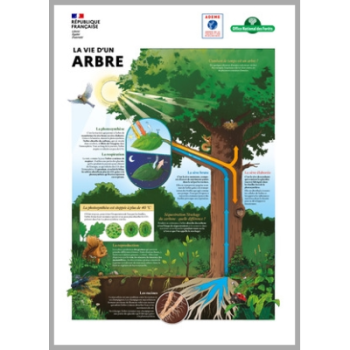 exposition-la-foret-face-au-changement-climatique-