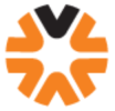 logo V