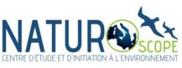 logo petit