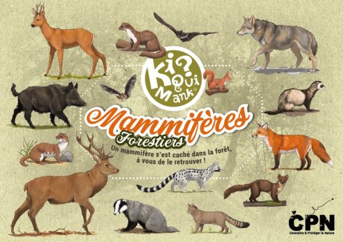 pochette Kiquimank Mammifères forestiers