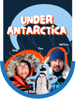 web_mdg_entete_underantarcticabilingue-e1757938942233